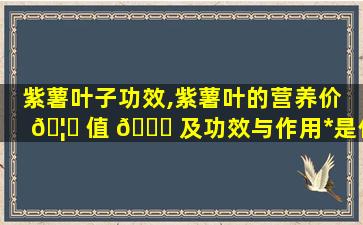 紫薯叶子功效,紫薯叶的营养价 🦟 值 🐞 及功效与作用*
是什么样